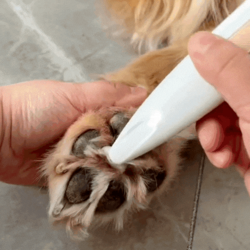 The Companion - Paw Trimmer