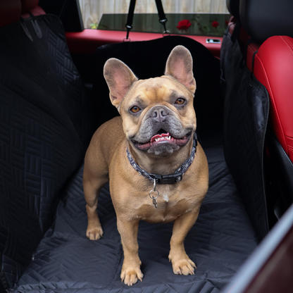 The Guardian - Dog Seat Cover