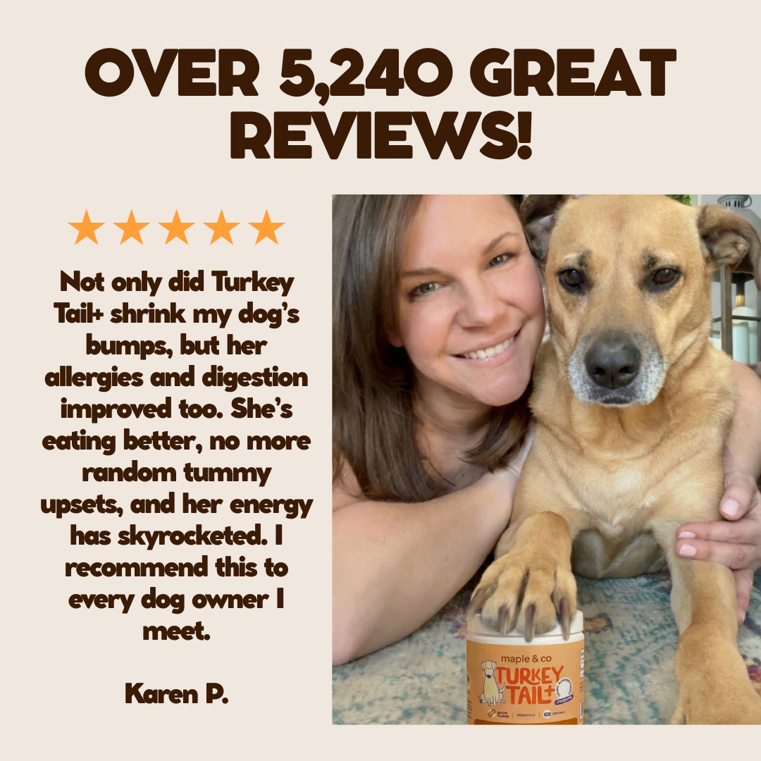 Maple&Co Turkey Tail+ Formula