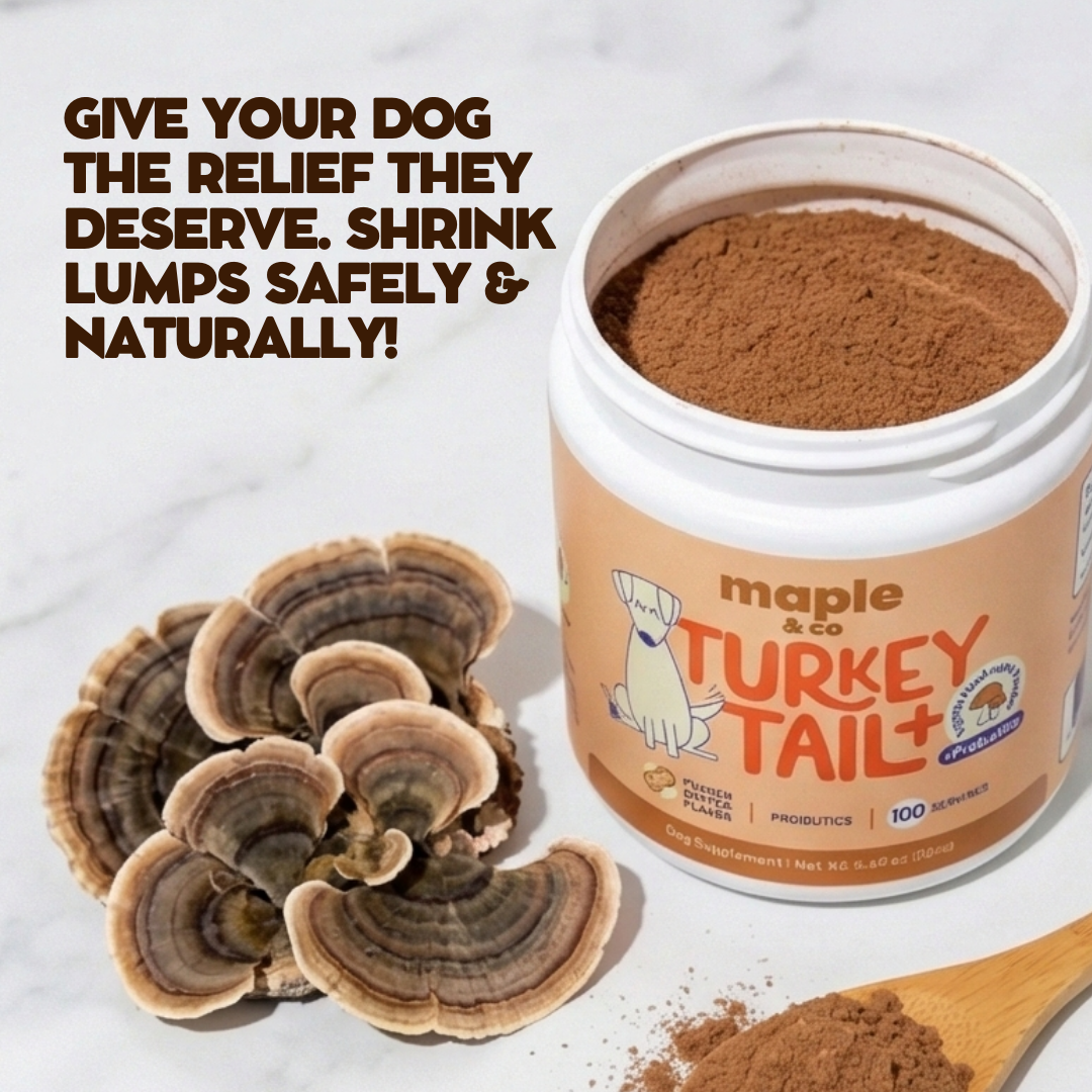 Maple&Co Turkey Tail+ Formula