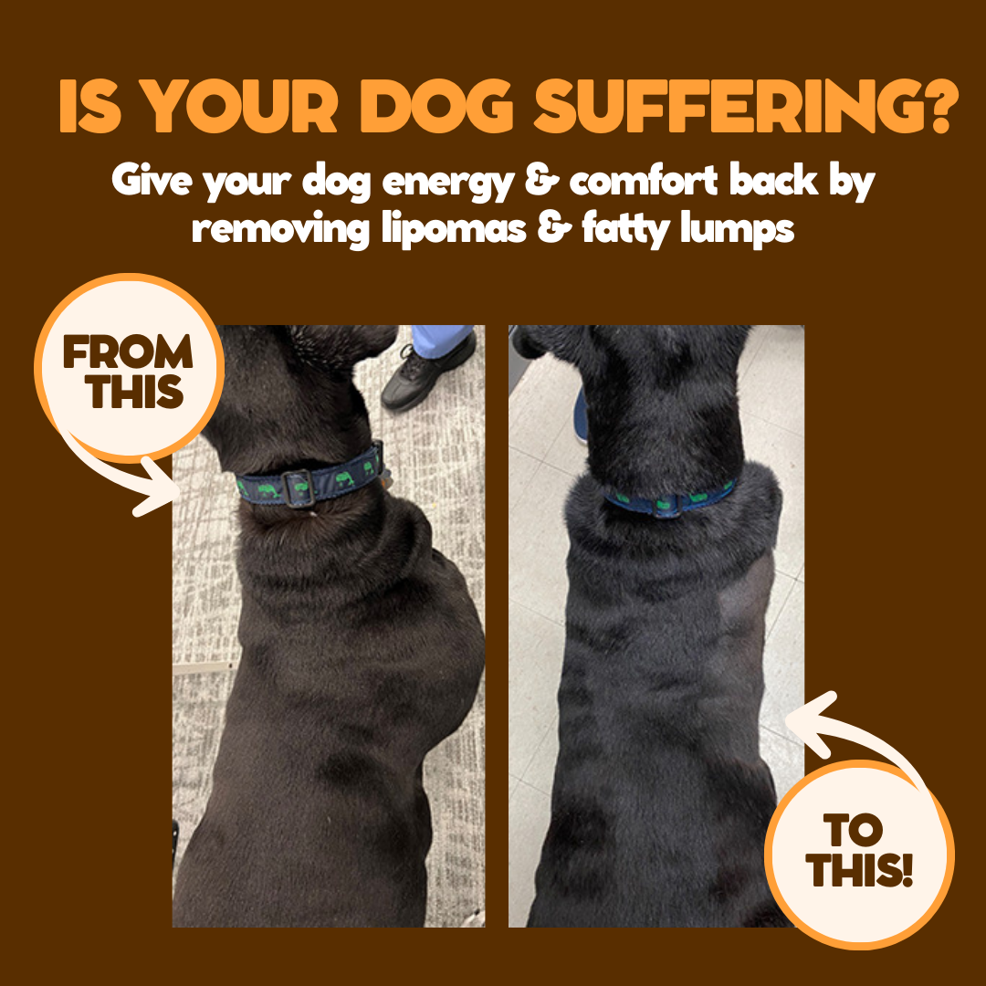 Maple&Co Turkey Tail+ Formula