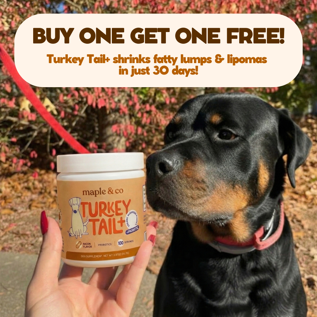 Maple&Co Turkey Tail+ Formula