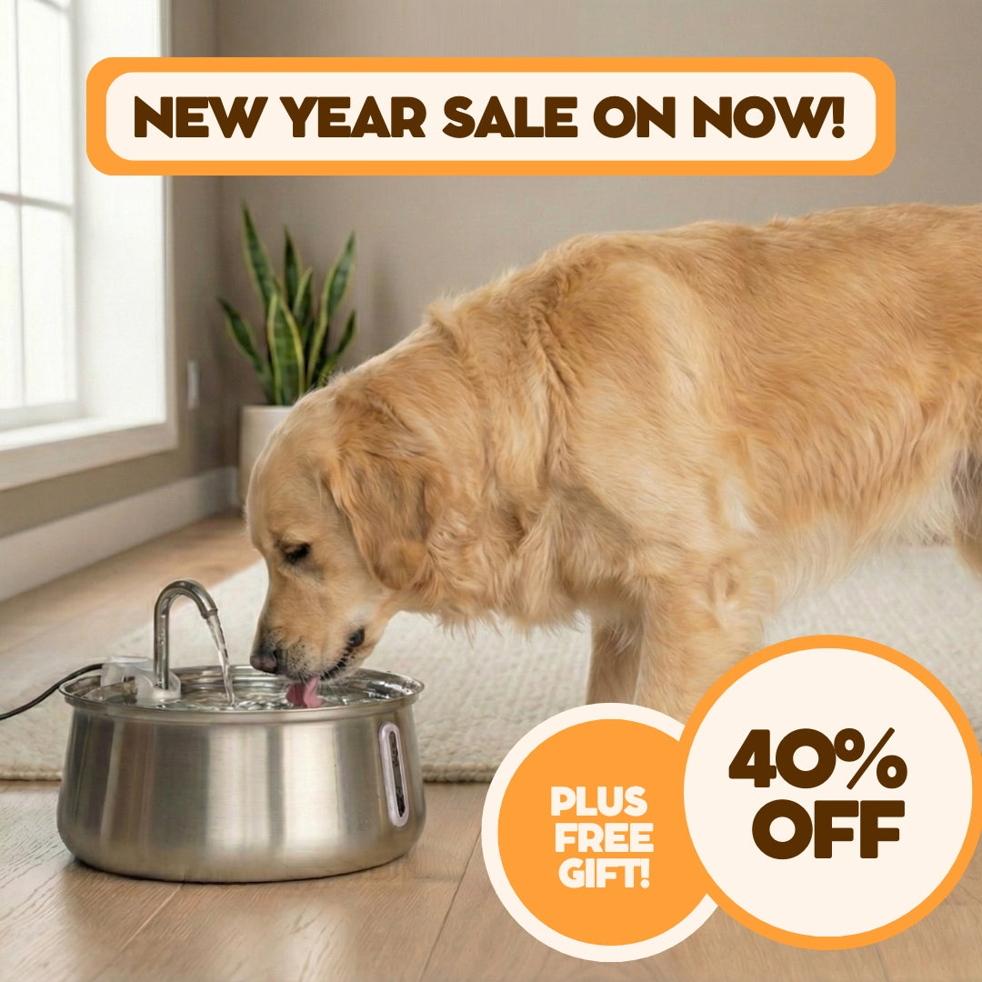 Maple & Co Whispa Fountain