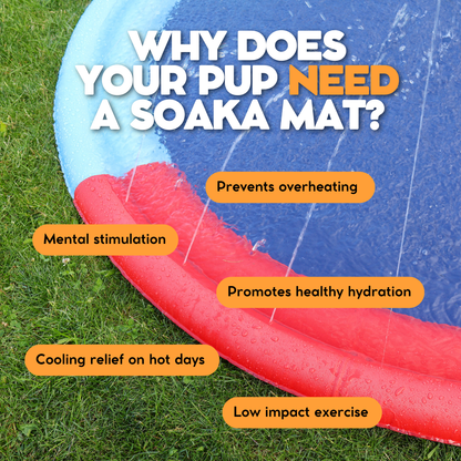 The Soaka - By Maple & Co