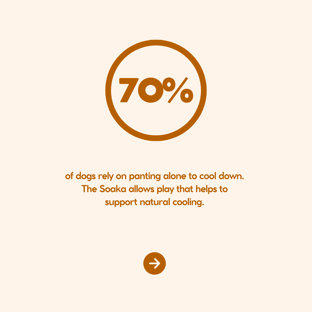 The Soaka - By Maple & Co