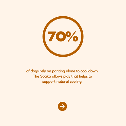 The Soaka - By Maple & Co