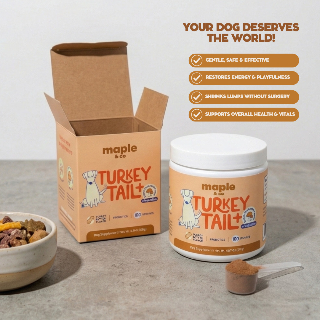 Maple&Co Turkey Tail+ Formula