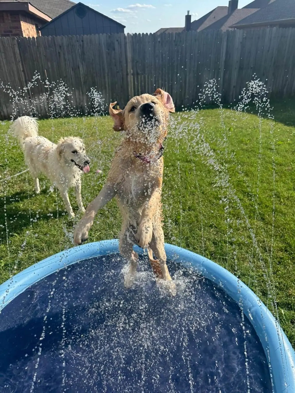 The Splash Circle - By Maple & Co