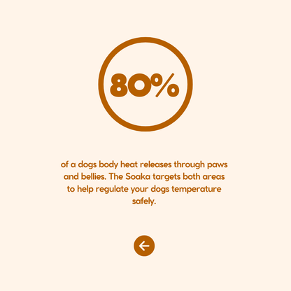 The Soaka - By Maple & Co