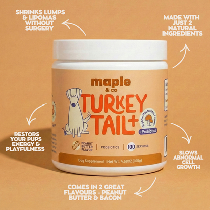 Maple&Co Turkey Tail+ Formula