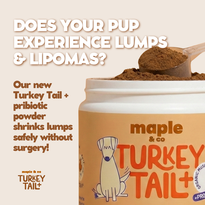 Maple&Co Turkey Tail+ Formula