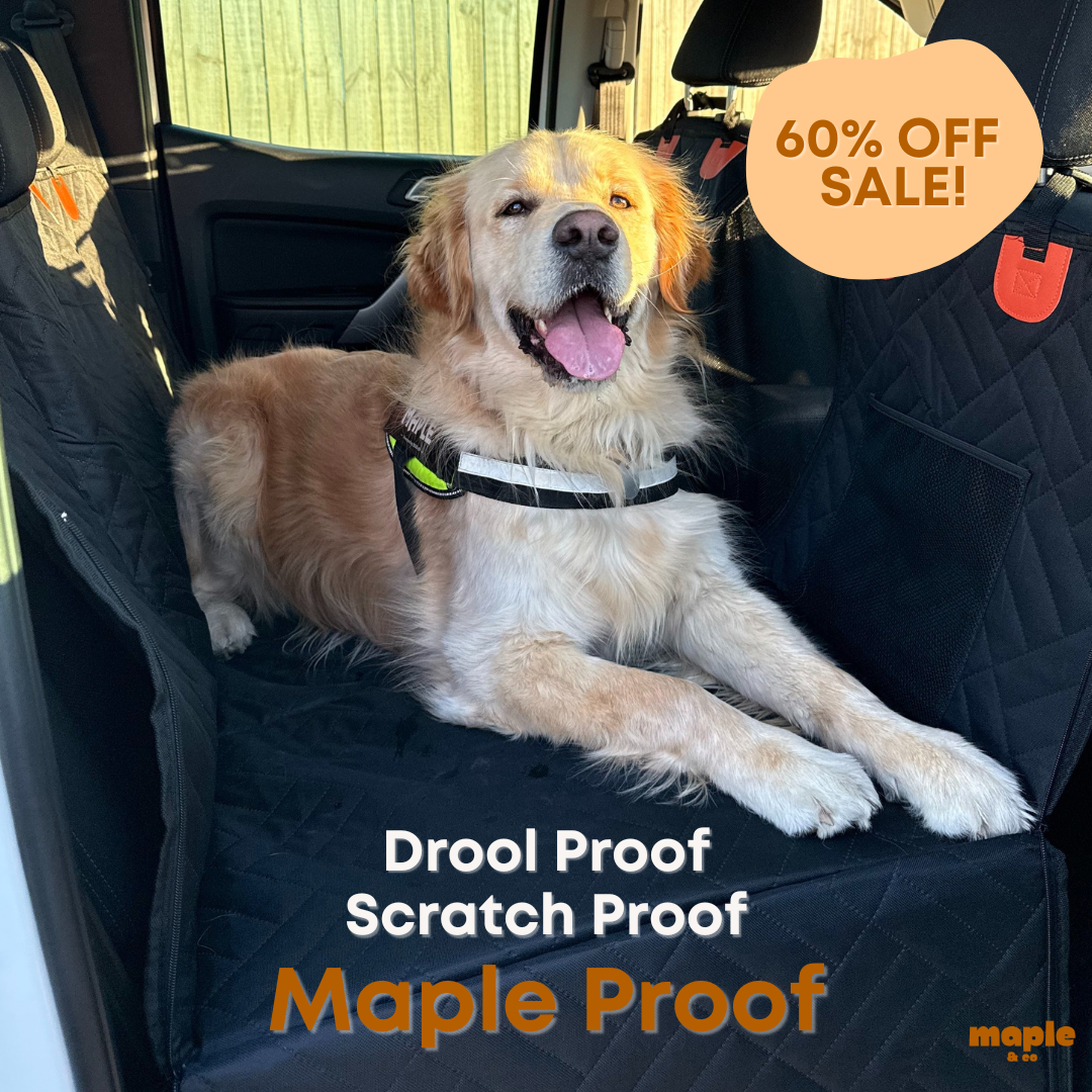 The Guardian - Dog Seat Cover