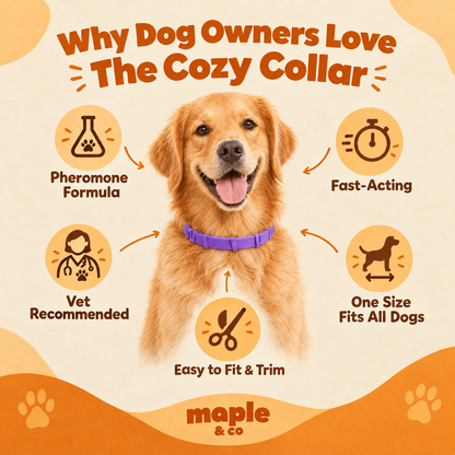 The Cozy Collar