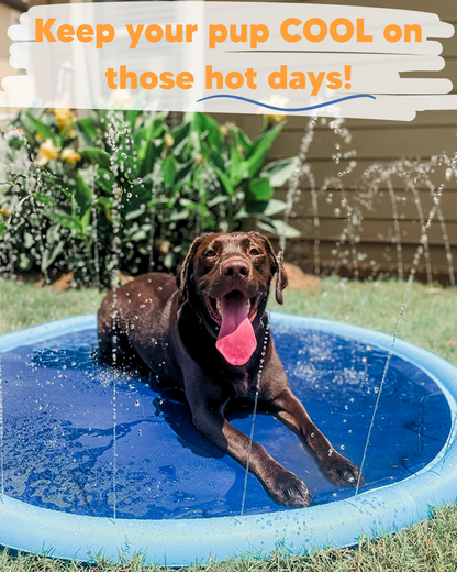 The Splash Circle - By Maple & Co