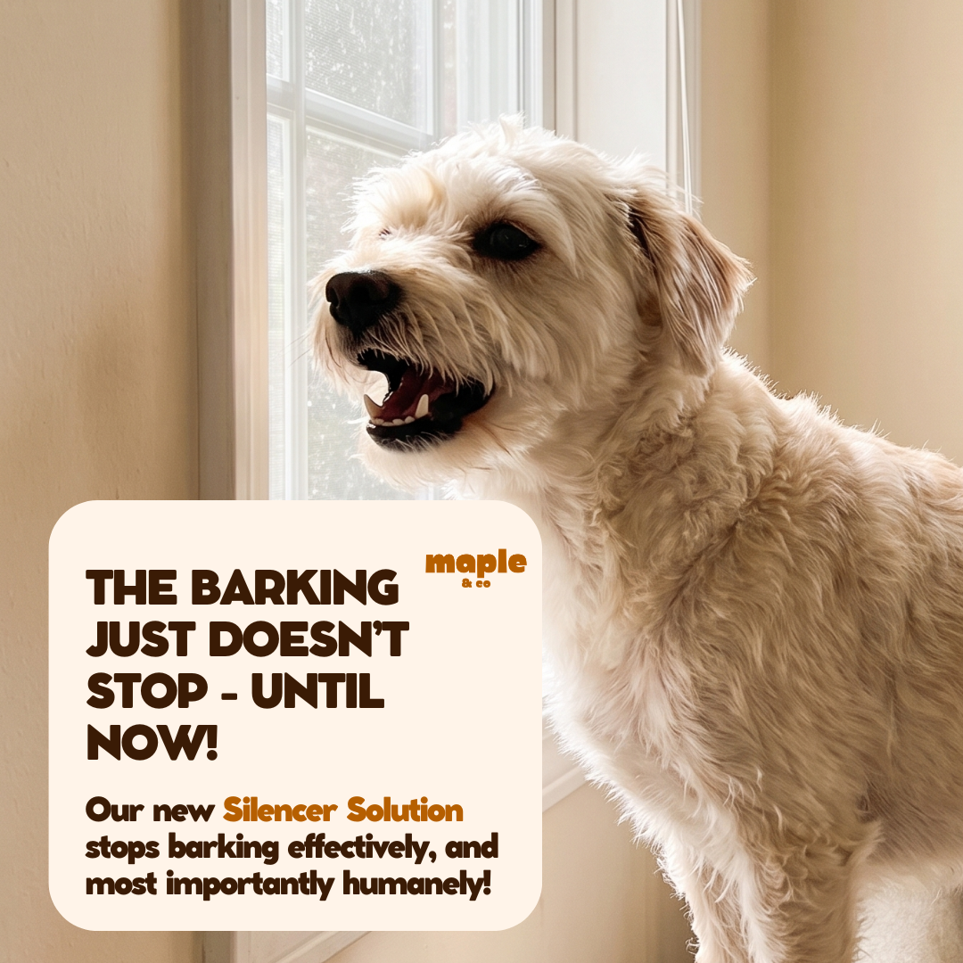 The Silencer - Anti-Bark System
