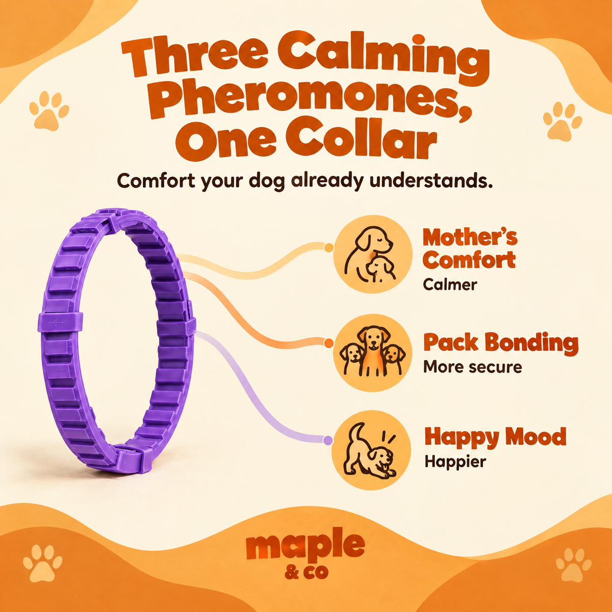 The Cozy Collar