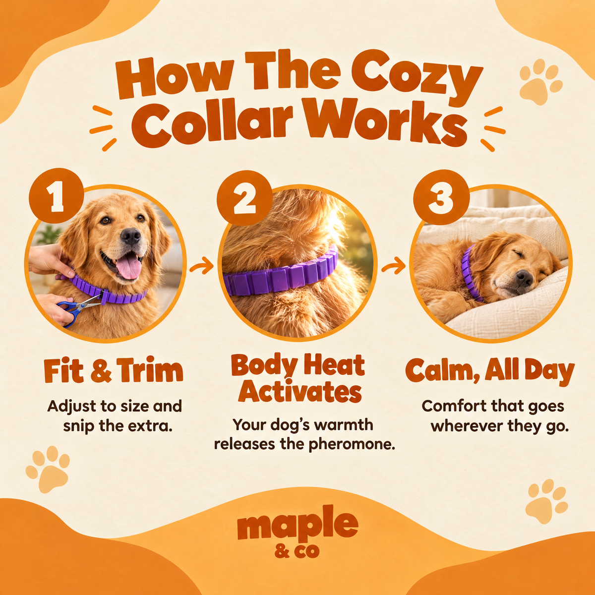 The Cozy Collar
