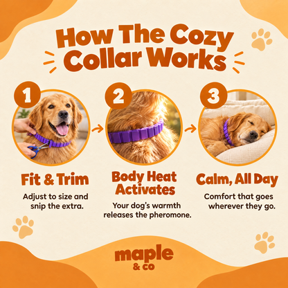The Cozy Collar