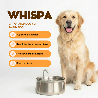 Maple & Co Whispa Fountain