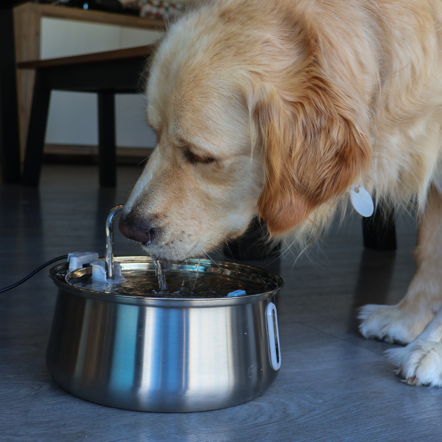 Maple & Co Whispa Fountain
